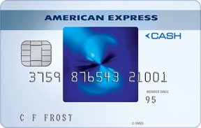 Blue Cash® Card from American Express photo